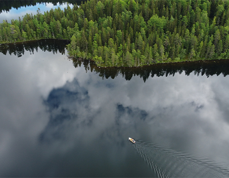 Dalsland görseli